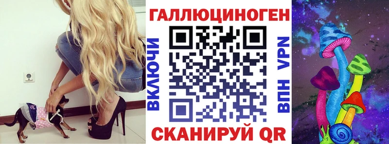 omg ссылки  Каменка  Галлюциногенные грибы Cubensis 