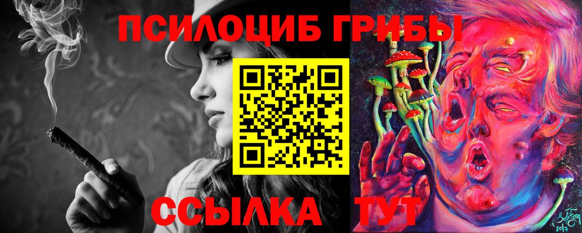 Галлюциногенные грибы MAGIC MUSHROOMS  Псилоцибиновые грибы мицелий  Каменка  Вход с VPN 