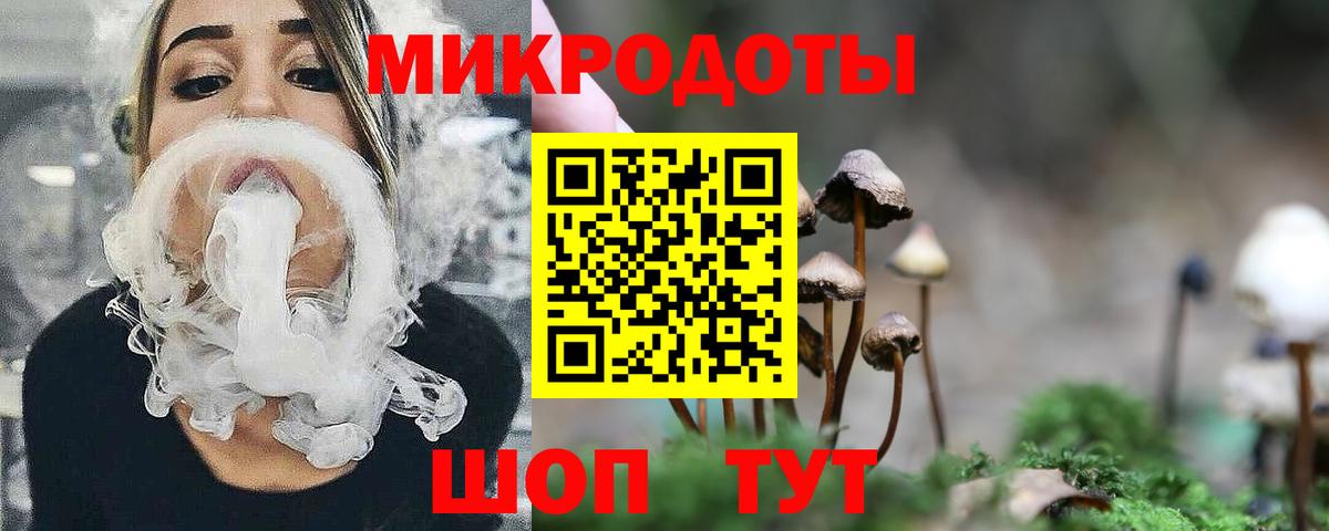 Псилоцибиновые грибы Psilocybine cubensis Каменка